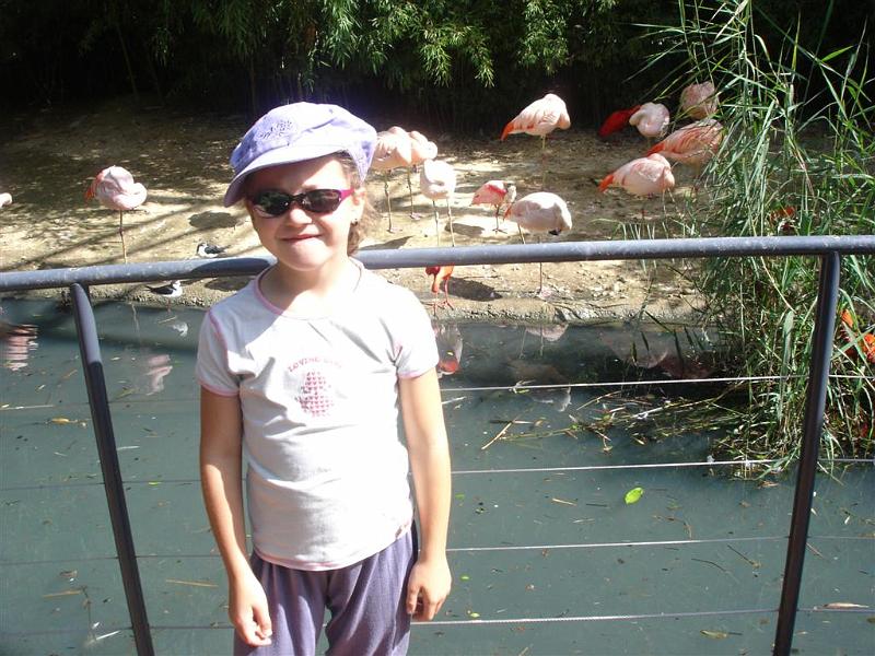 Parc des oiseaux (14)